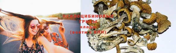 дурь Медногорск