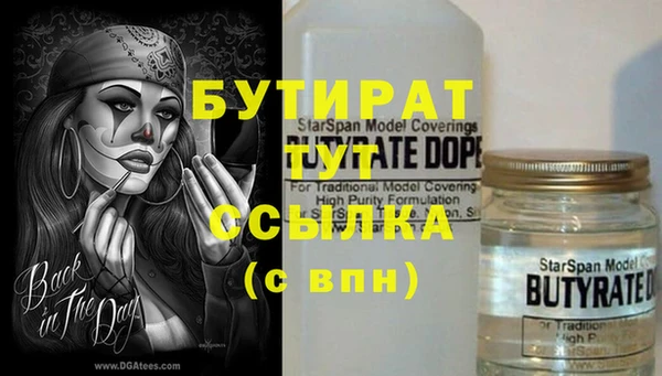 индика Володарск